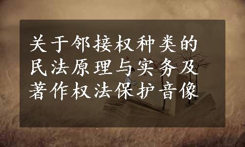 关于邻接权种类的民法原理与实务及著作权法保护音像