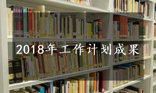 2018年工作计划成果