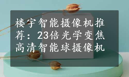 楼宇智能摄像机推荐：23倍光学变焦高清智能球摄像机