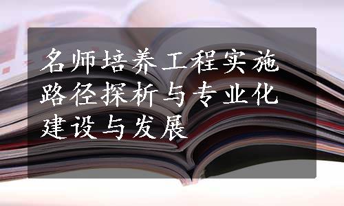 名师培养工程实施路径探析与专业化建设与发展