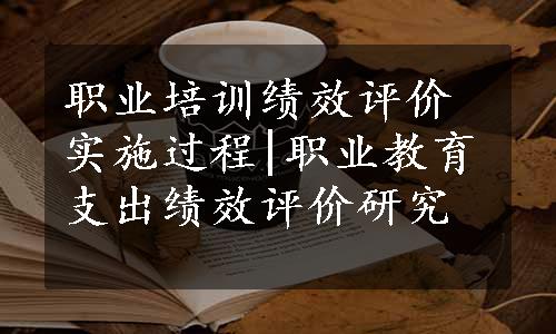 职业培训绩效评价实施过程|职业教育支出绩效评价研究