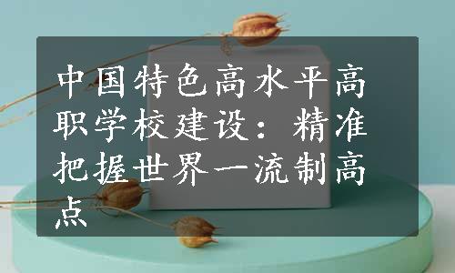 中国特色高水平高职学校建设：精准把握世界一流制高点