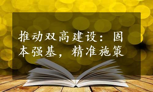 推动双高建设：固本强基，精准施策