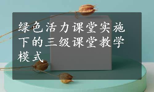 绿色活力课堂实施下的三级课堂教学模式