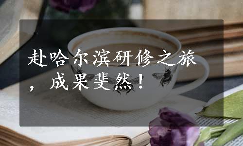 赴哈尔滨研修之旅，成果斐然！