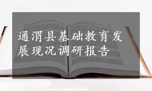 通渭县基础教育发展现况调研报告