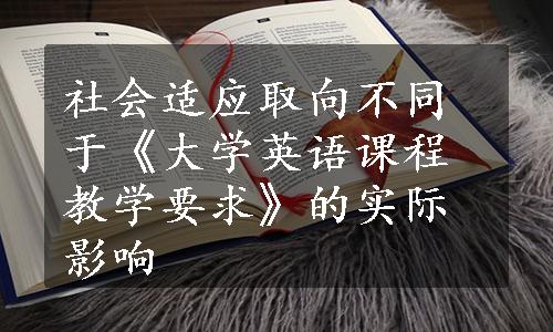 社会适应取向不同于《大学英语课程教学要求》的实际影响