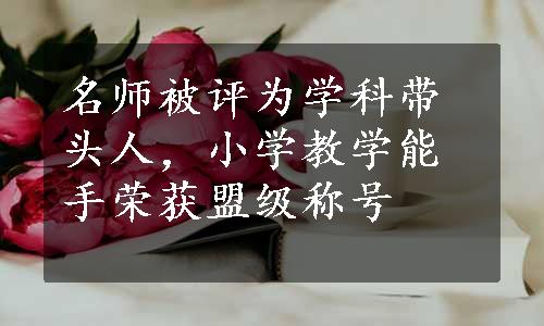 名师被评为学科带头人，小学教学能手荣获盟级称号