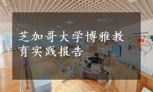 芝加哥大学博雅教育实践报告