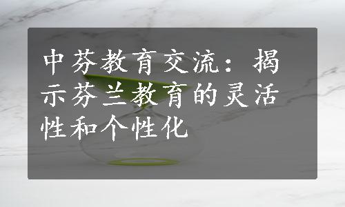 中芬教育交流：揭示芬兰教育的灵活性和个性化