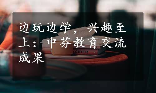 边玩边学，兴趣至上：中芬教育交流成果