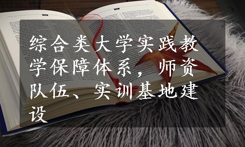 综合类大学实践教学保障体系，师资队伍、实训基地建设