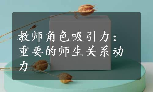 教师角色吸引力：重要的师生关系动力