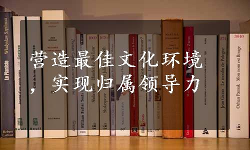 营造最佳文化环境，实现归属领导力