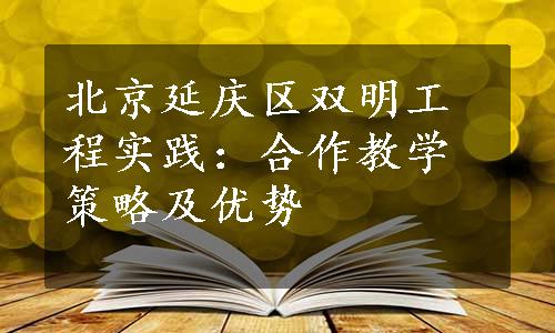 北京延庆区双明工程实践：合作教学策略及优势