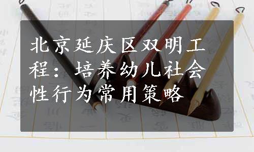 北京延庆区双明工程：培养幼儿社会性行为常用策略