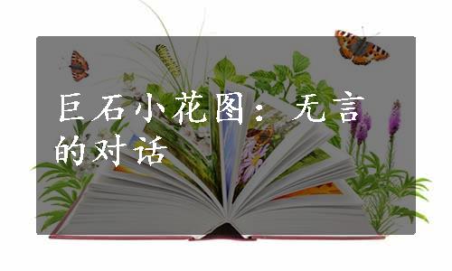 巨石小花图：无言的对话