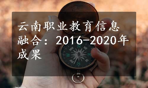 云南职业教育信息融合：2016-2020年成果