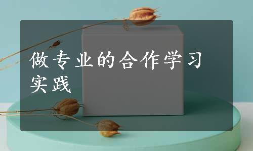 做专业的合作学习实践