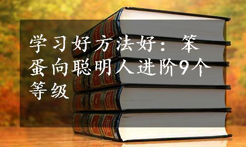 学习好方法好：笨蛋向聪明人进阶9个等级