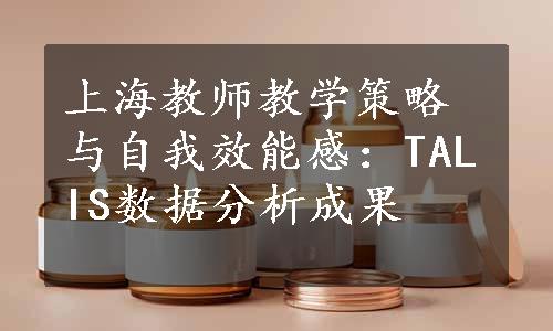 上海教师教学策略与自我效能感：TALIS数据分析成果