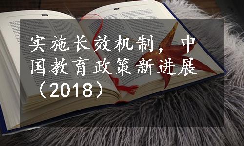 实施长效机制，中国教育政策新进展（2018）