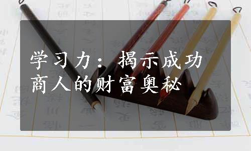 学习力：揭示成功商人的财富奥秘