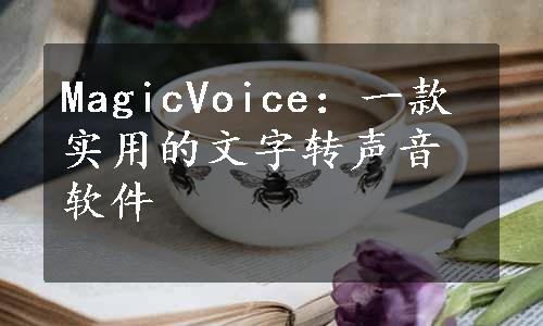 MagicVoice：一款实用的文字转声音软件