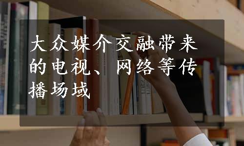 大众媒介交融带来的电视、网络等传播场域