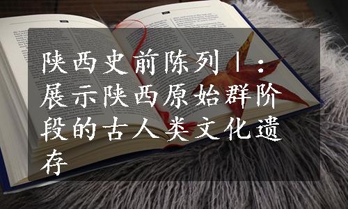 陕西史前陈列Ⅰ：展示陕西原始群阶段的古人类文化遗存