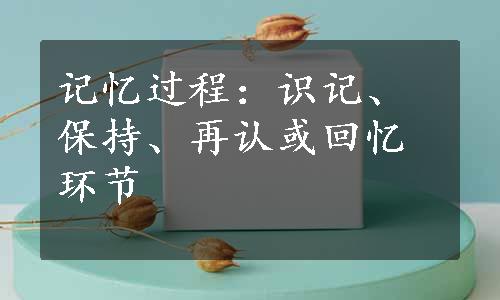 记忆过程：识记、保持、再认或回忆环节