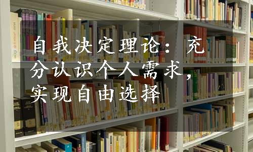 自我决定理论：充分认识个人需求，实现自由选择