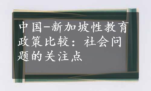 中国-新加坡性教育政策比较：社会问题的关注点