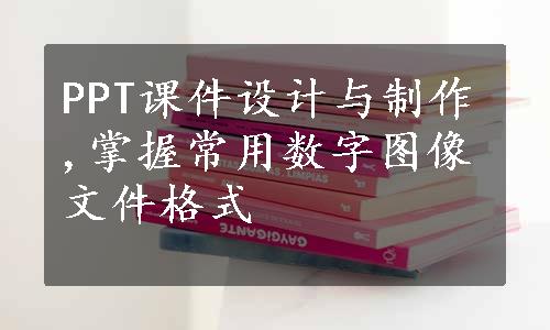 PPT课件设计与制作,掌握常用数字图像文件格式