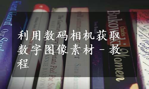 利用数码相机获取数字图像素材–教程