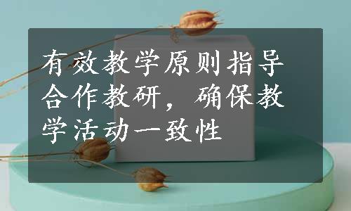 有效教学原则指导合作教研，确保教学活动一致性