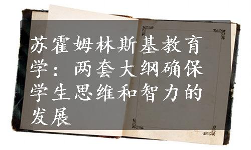 苏霍姆林斯基教育学：两套大纲确保学生思维和智力的发展