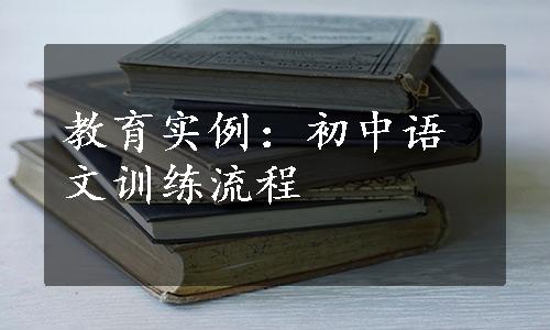教育实例：初中语文训练流程