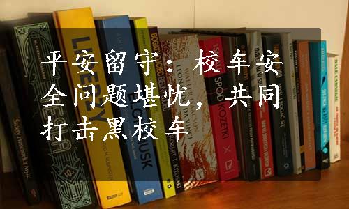 平安留守：校车安全问题堪忧，共同打击黑校车