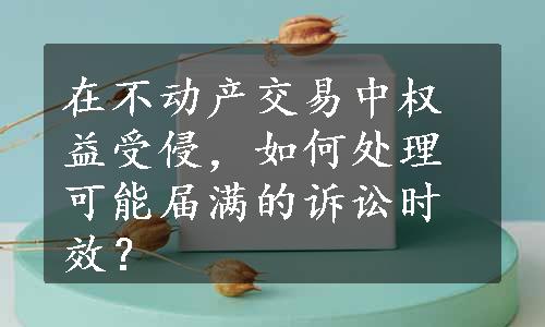 在不动产交易中权益受侵，如何处理可能届满的诉讼时效？