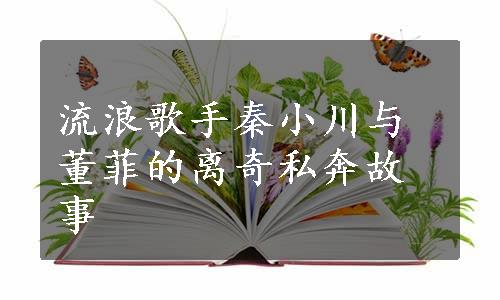 流浪歌手秦小川与董菲的离奇私奔故事