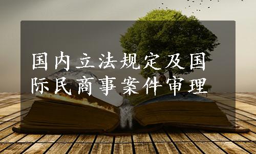 国内立法规定及国际民商事案件审理