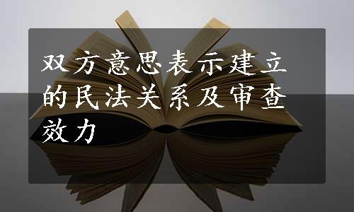 双方意思表示建立的民法关系及审查效力