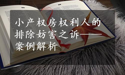 小产权房权利人的排除妨害之诉——案例解析