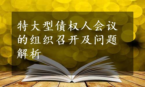 特大型债权人会议的组织召开及问题解析