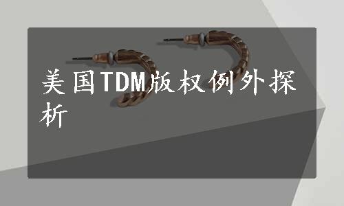 美国TDM版权例外探析