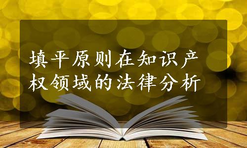 填平原则在知识产权领域的法律分析