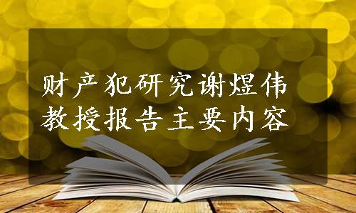 财产犯研究谢煜伟教授报告主要内容