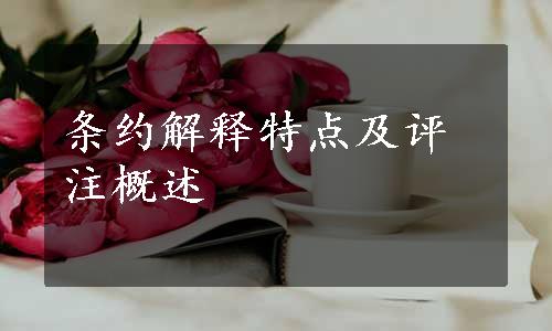 条约解释特点及评注概述