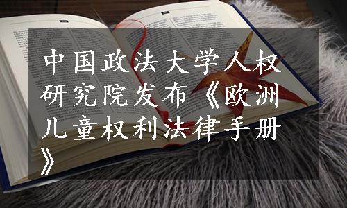 中国政法大学人权研究院发布《欧洲儿童权利法律手册》